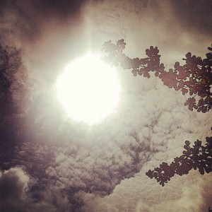 546009_10151624404793573_519285779_n